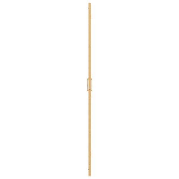 Walk-in Duschwand Sonstiges Golden und Transparent 70 x 190 cm