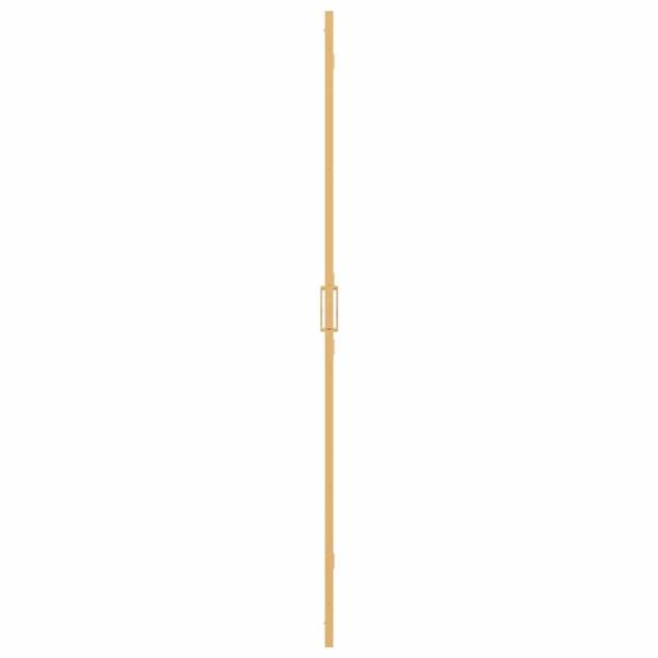 Walk-in Duschwand Sonstiges Golden und Transparent 80 x 190 cm