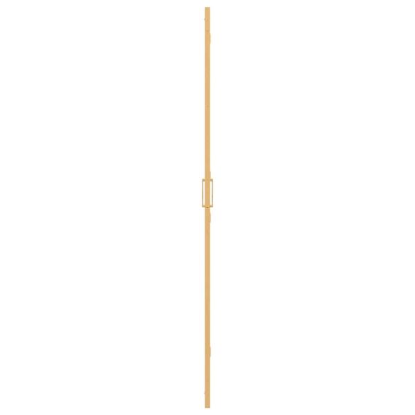 Walk-in Duschwand Sonstiges Golden und Transparent 90 x 190 cm