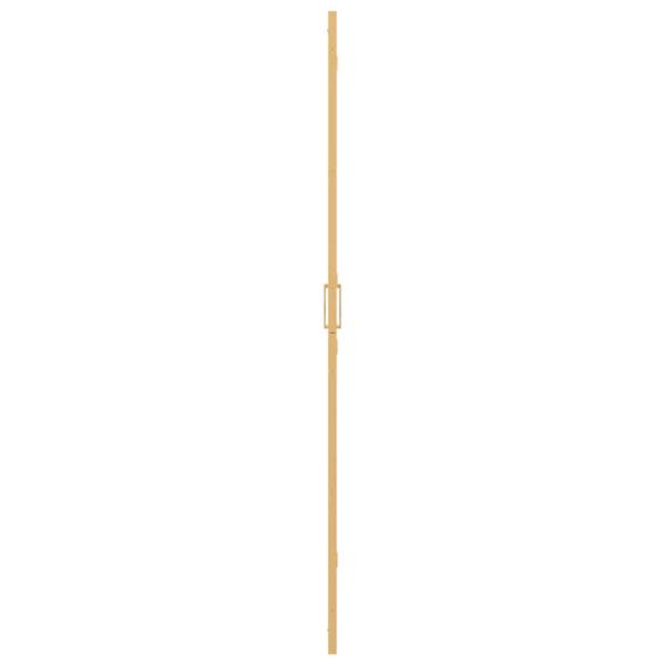 Walk-in Duschwand Sonstiges Golden und Transparent 100 x 190 cm