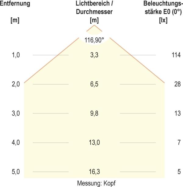 EVN LED Wegeleuchte, schwenkbar, IP54, 100-240V, 6W, 3000K, 550lm, 650mm, anthrazit (PL54150602)