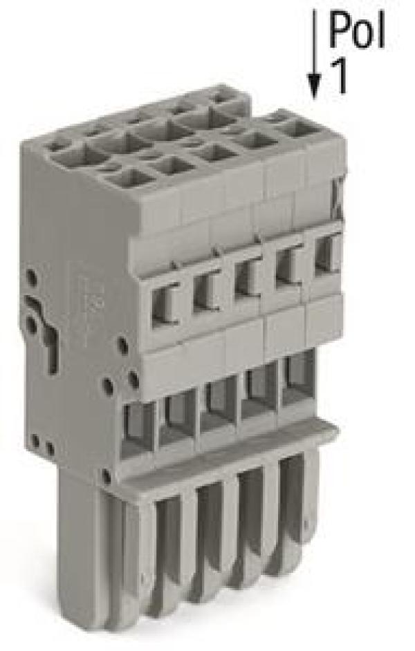 WAGO Kontakttechnik 1-Leiter-Federleiste gerade für Basisklemmen oder Stiftleisten kodierbar 7-polig grau (25 ST)