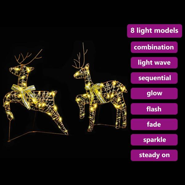 LED Rentiere mit 40 LEDs 2 pcs Warmes Weiß 64 x 42 x 15 cm PET