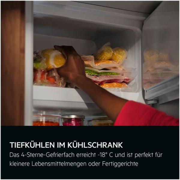 AEG TF6FS18XDC 6000 Einbaukühlschrank mit Gefrierfach, Nischenhöhe 1780 cm, 282 L, Festtürtechnik, DynamicAir, CustomFlex, TouchControl, weiß (923585344)