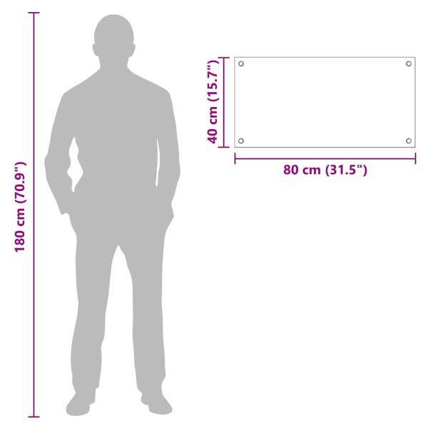 Küchenrückwand Schwarz 80 x 40 x 0.8 cm Gehärtetes Glas