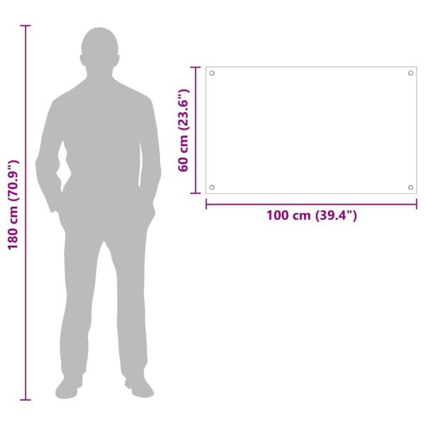 Küchenrückwand Schwarz 100 x 60 x 0,8 cm Gehärtetes Glas