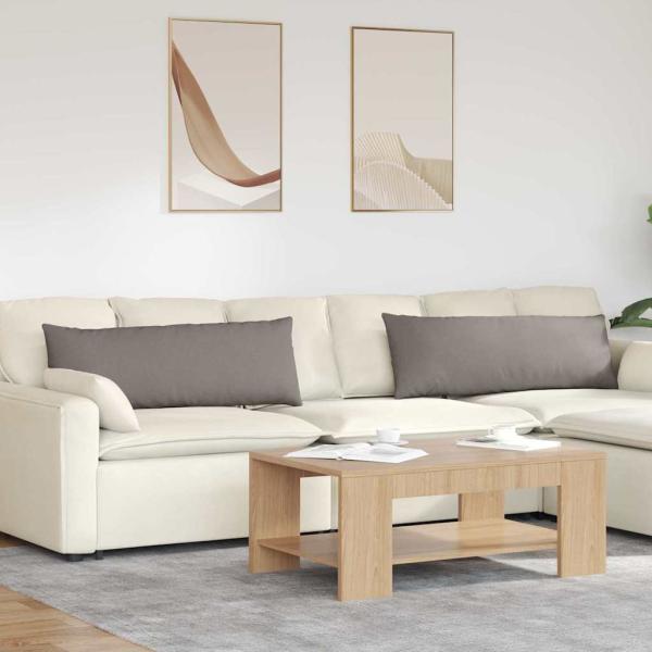 ARDEBO.de - Sofakissen 2 pcs Taupe 120 x 40 cm Stoff