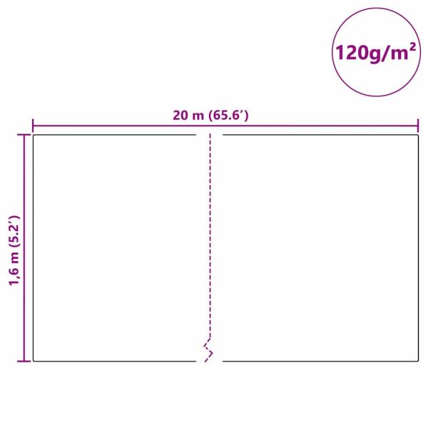 Frostschutz-Pflanzen-Vlies Grün 20 x 1,6 m Vliesstoff