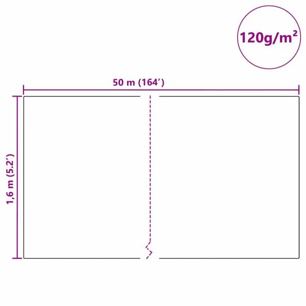 Frostschutz-Pflanzen-Vlies Grün 50 x 1,6 m Vliesstoff