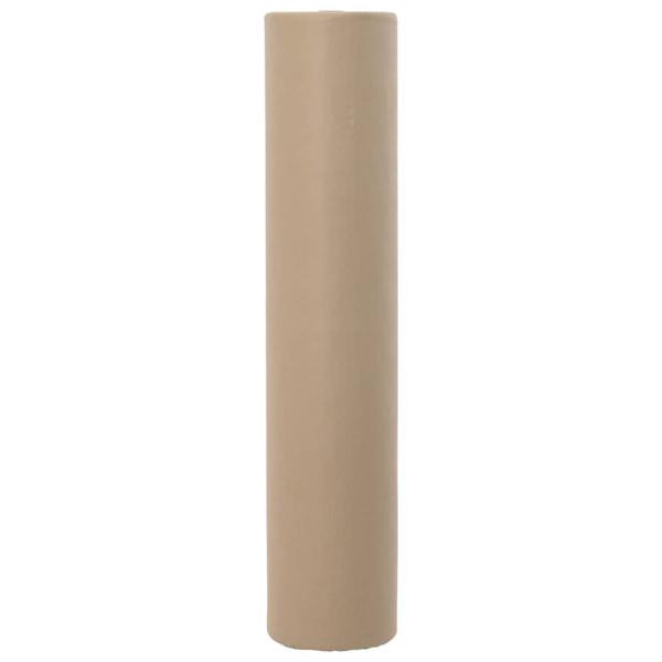 Frostschutz-Pflanzen-Vlies Beige 50 x 1,6 m Vliesstoff