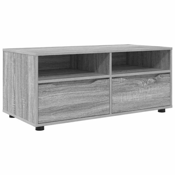 TV-Schränk Graues Sonoma 100 x 48 x 43 cm Holzwerkstoff