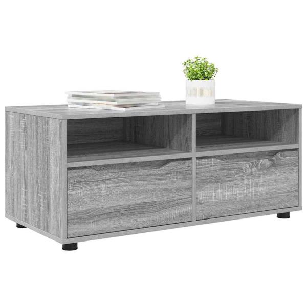 TV-Schränk Graues Sonoma 100 x 48 x 43 cm Holzwerkstoff