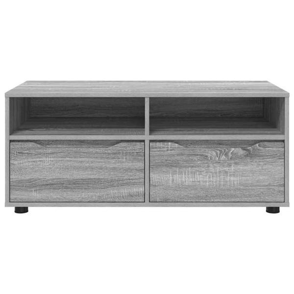 TV-Schränk Graues Sonoma 100 x 48 x 43 cm Holzwerkstoff