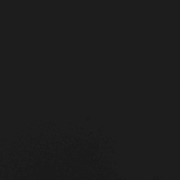 Fenstergitter Schwarz 175 x 60 cm Pulverbeschichteter Stahl