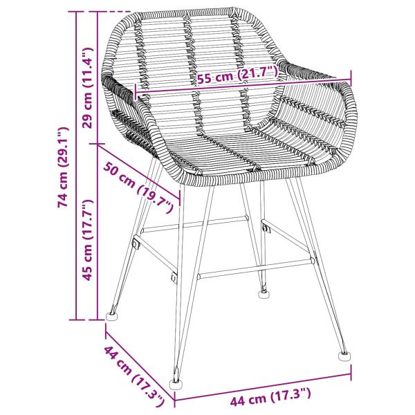 Esszimmerstuhl 2 pcs Schwarz 55 x 50 x 74 cm Rattan und Eisen