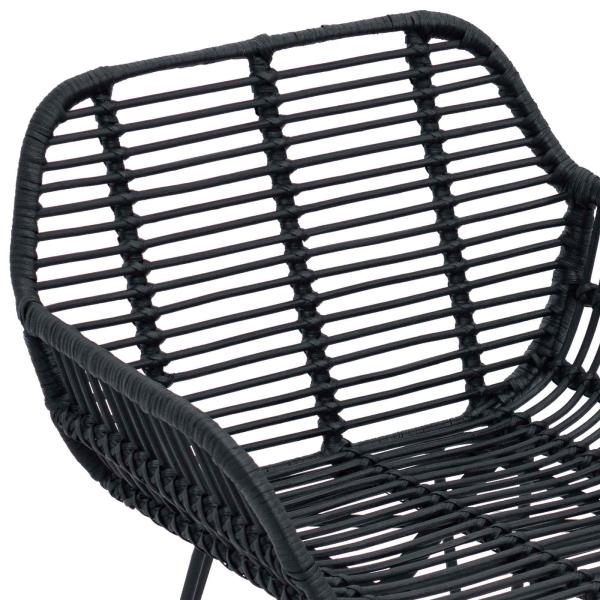 Esszimmerstuhl 2 pcs Schwarz 55 x 50 x 74 cm Rattan und Eisen