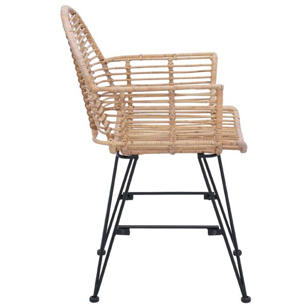 Esszimmerstuhl 2 pcs Natur 57 x 54,5 x 85 cm Rattan und Eisen