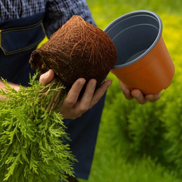 Blumentopf 50 pcs Keramik Ø 15 x 12,5 cm Kunststoff