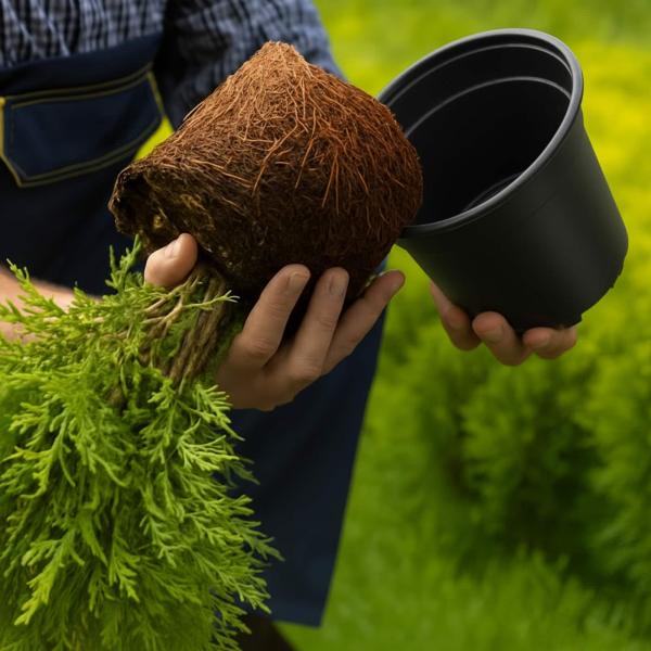 Blumentopf 50 pcs Schwarz Ø 15 x 12,5 cm Kunststoff