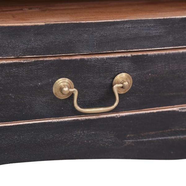 TV-Schrank 120x30x40 cm Schwarz Altholz Massiv