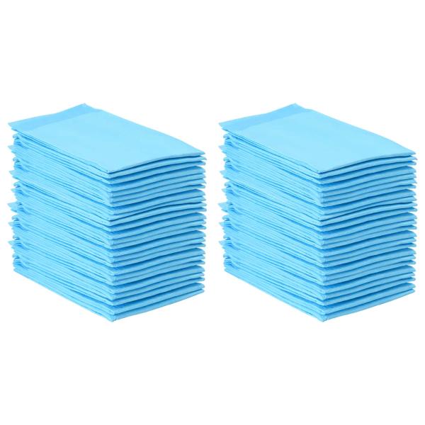 Haustier Training Pad 50 pcs Blau und Weiß 60 x 60 cm