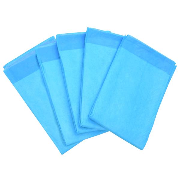 Haustier Training Pad 100 pcs Blau und Weiß 120 x 80 cm
