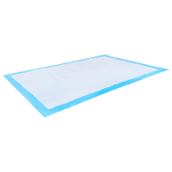 Haustier Training Pad 300 pcs Blau und Weiß 120 x 80 cm
