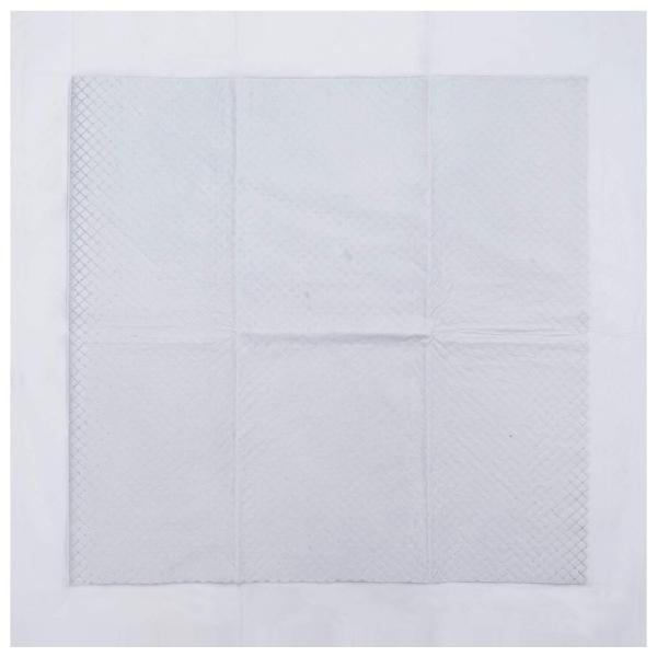 Haustier Training Pad Uni 100 pcs 60 x 60 cm