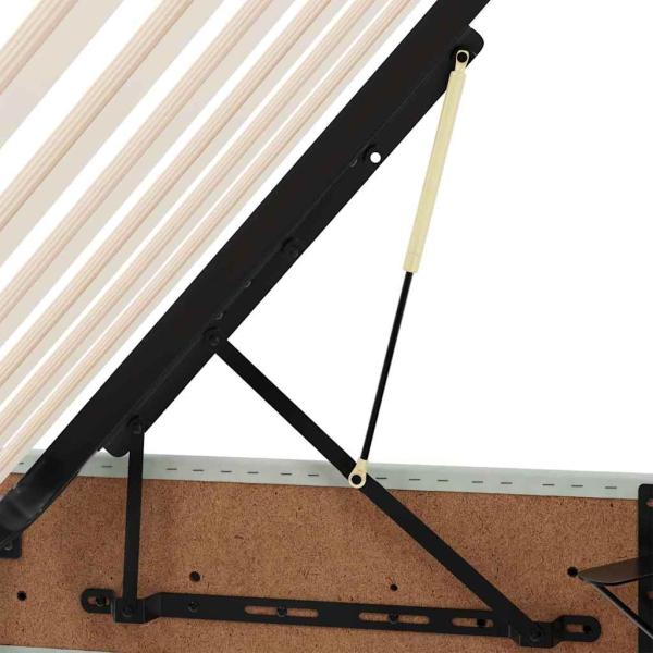 Aufbewahrungsbett mit Matratze Hellgrau 160 x 200 cm Samt