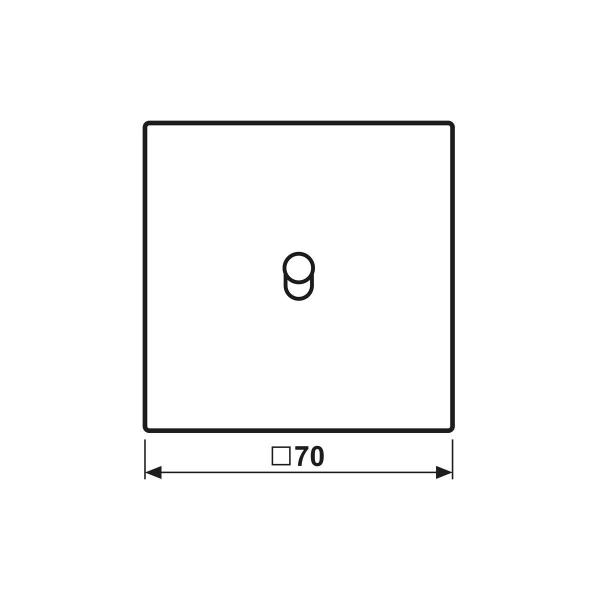 Jung Abdeckung mit Kipphebel, 1 Kipphebel, Kegel, dark (AL 12-0 D K 01)