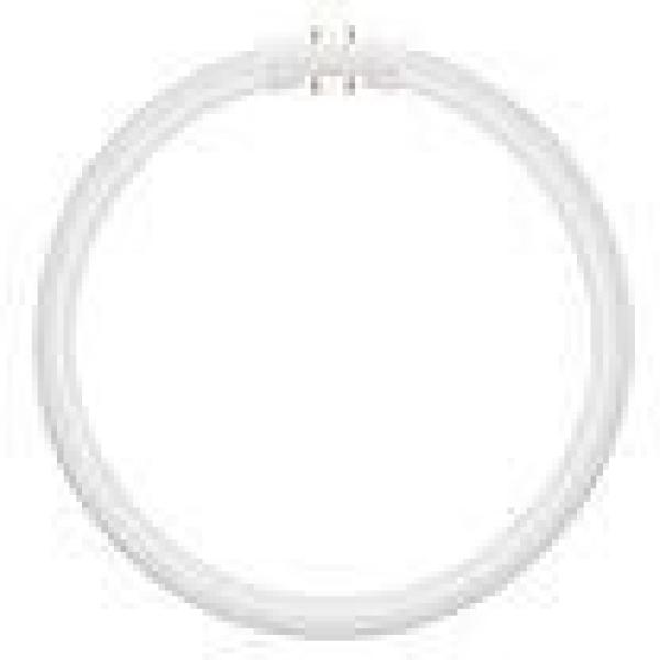 ARDEBO.de LEDVANCE LED T5 FC 22 EXTERNAL P 11.6W 840 2GX13, dimmbar, für EXTERNAL-Treiber (4099854300820)