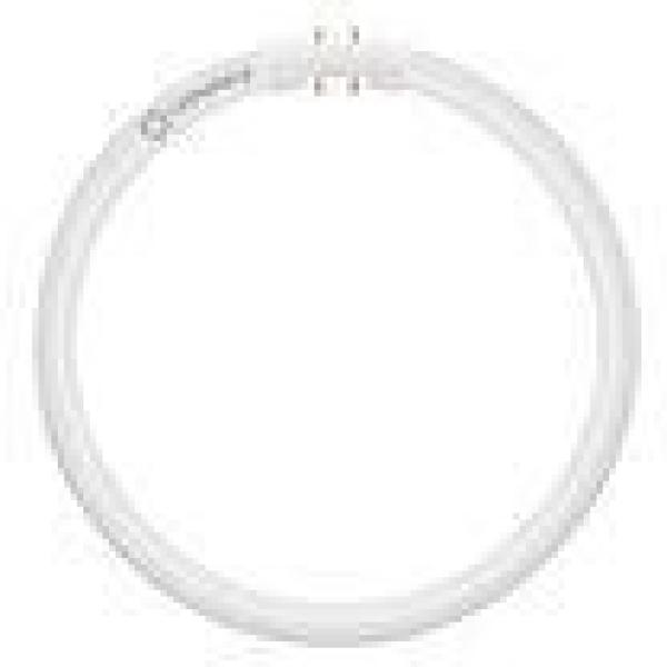 LEDVANCE LED T5 FC 22 EXTERNAL P 11.6W 840 2GX13, dimmbar, für EXTERNAL-Treiber (4099854300820)