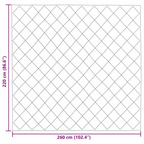 Ganzjahresbettdecke Anthrazit und Taupe 220 x 260 cm Mikrofaser