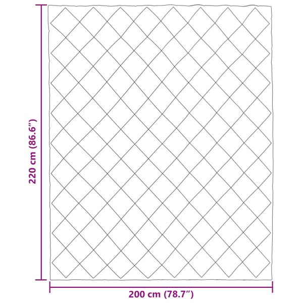 Winterbettdecke Hellgrau und Anthrazit 220 x 200 cm Mikrofaser