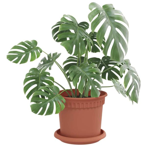 Runde Blumenplatte 24 pcs Ziegelrot Ø 14 x 2 cm Kunststoff