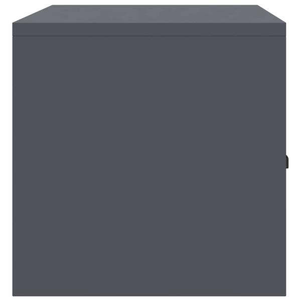 Aufbewahrungsschrank Anthrazit 90 x 40 x 40 cm Stahl