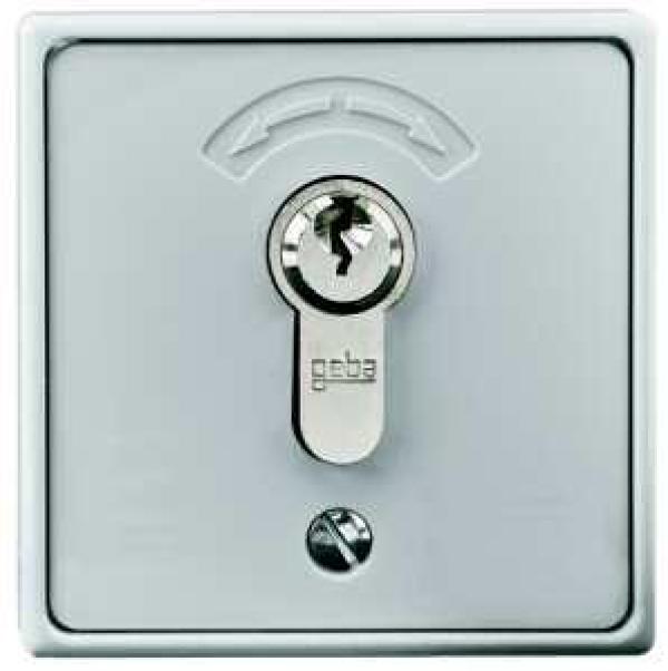 ARDEBO.de Rademacher 4596 Schlüsseltaster Aufputz inkl. Zylinder 75x75x50, grau (80000006)