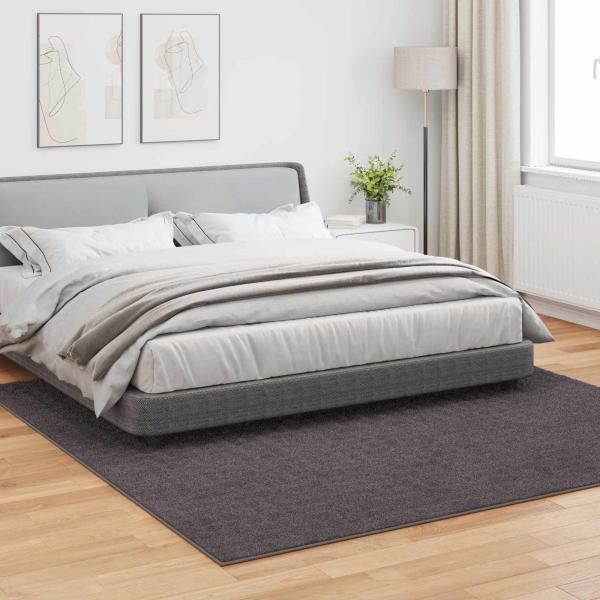 Bereichsteppiche Quadratisch Anthrazit 240 x 240 cm