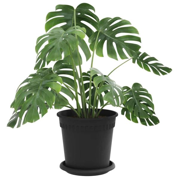 Blumentöpfe 6 pcs Schwarz Ø 17 x 14 cm Kunststoff