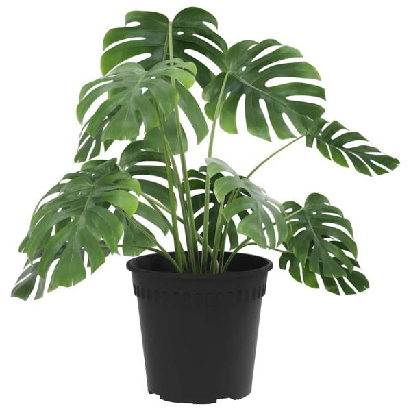 Runder Blumentopf 6 pcs Schwarz Ø 17 x 14 cm Kunststoff