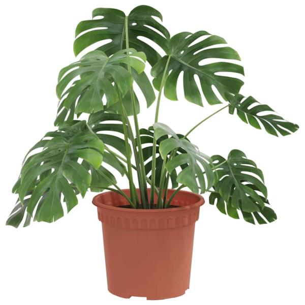 Runder Blumentopf 24 pcs Ziegelrot Ø 12,5 x 10 cm Kunststoff