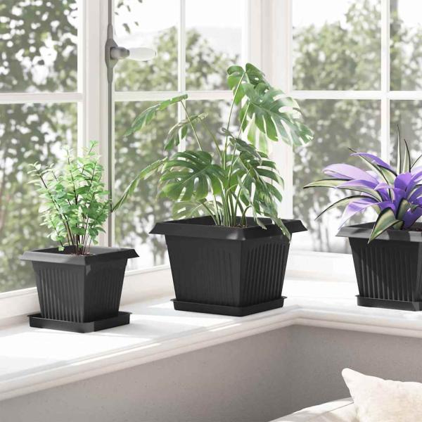 Quadratischer Blumentopf 6 pcs Schwarz 43 x 43 x 33,5 cm