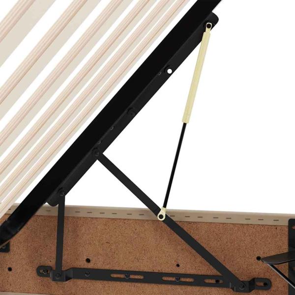 Aufbewahrungsbett mit Matratze 2 pcs Cappuccino Leder