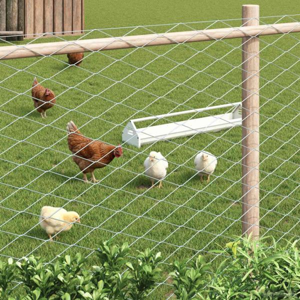 Maschendrahtzaun 2 x 20 m Glas Verzinkt