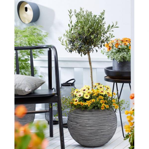 Capi Blumentopf Nature Rib Kugel 40 x 32 cm Anthrazit KOFZ270 