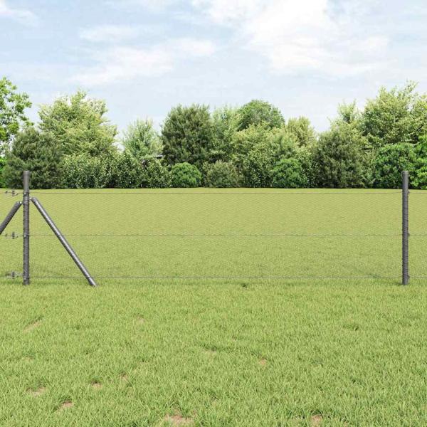 ARDEBO.de - Sechseckgeflechtzaun 0,5 x 100 m PVC Grau
