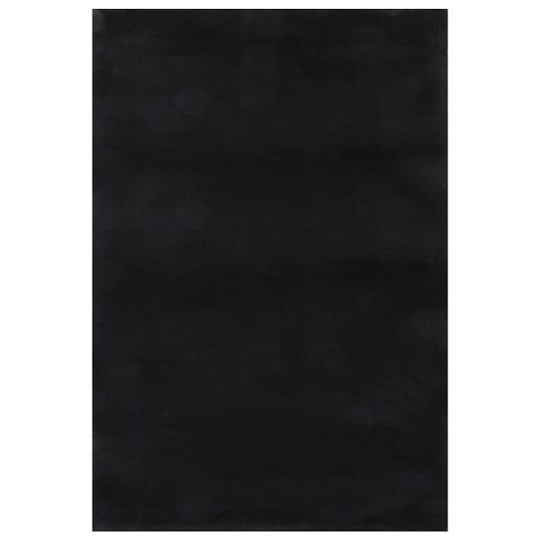 Teppich Waschbar Flauschig Kurzflor 160x230 Rutschfest Schwarz