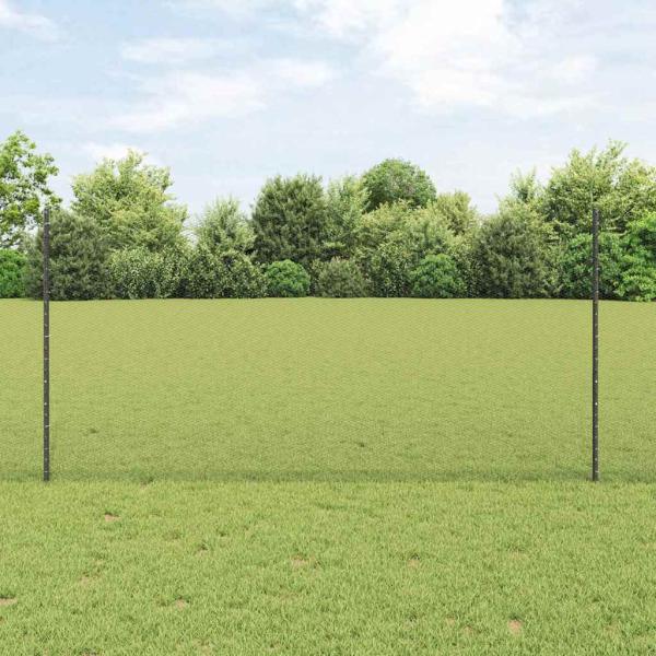 Zaun mit Pfosten Grau 1,2 x 25 m Stahl