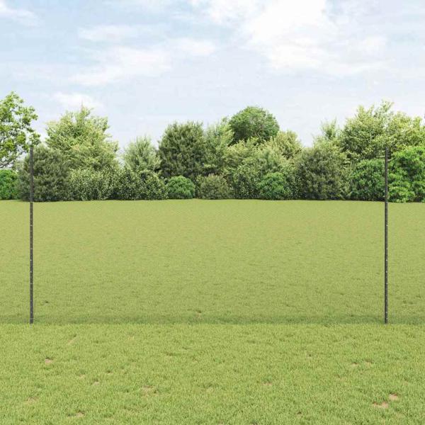ARDEBO.de - Sechseckzaun mit Pfosten 25 x 1,6 m PVC-beschichteter Stahl