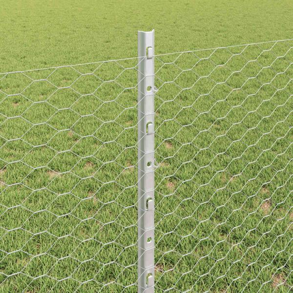 Sechseckzaun mit Pfosten 50 x 0,8 m Verzinkter Stahl Silber